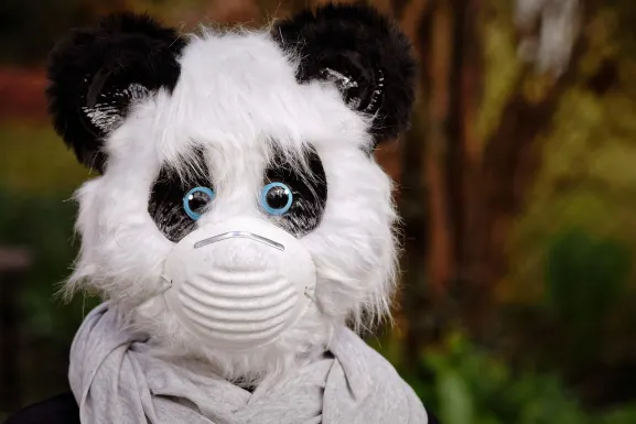 Casino Hot Line Stuðningur